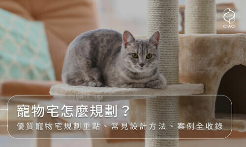 寵物宅怎麼規劃？優質寵物宅規劃重點、常見設計方法、案例全收錄